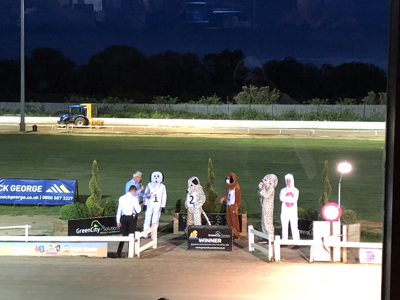 Greyhounds HoundsWinner 1