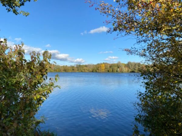 Ferry Meadows Boat Trip  OvertonLakeView