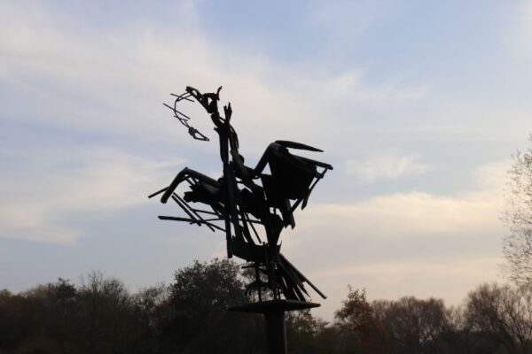 Cormorant ElizabethCooke