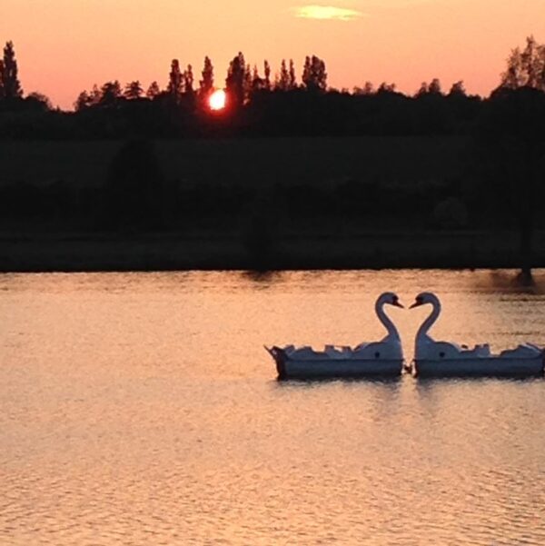 FerryMeadows SunsetSwanPedalos