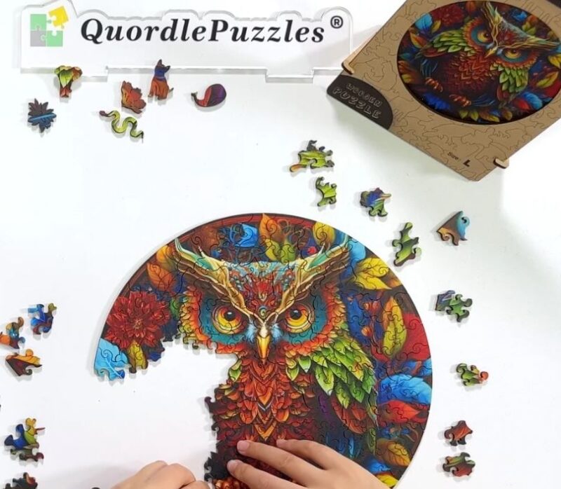 quordle-owl-800x698