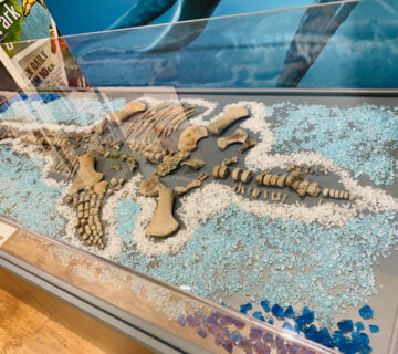 Extinction 5506 360x320