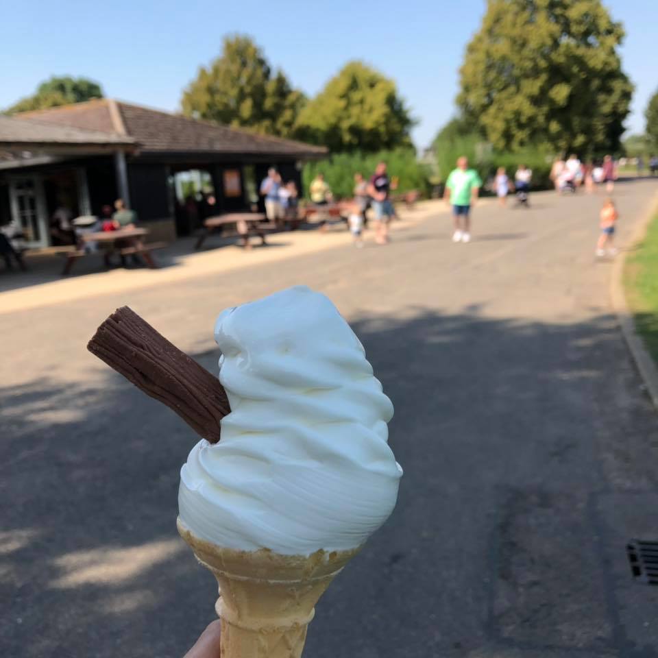 FerryMeadows IceCream