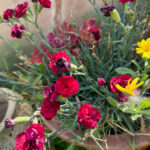 CandleMakingwithProjectAbundance (3)