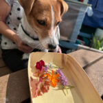 CandleMakingwithProjectAbundance (7)