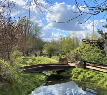 RailworldWildlifeHaven thingstodo 360x320