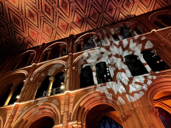 BrittenSinfoniaExperience (3)