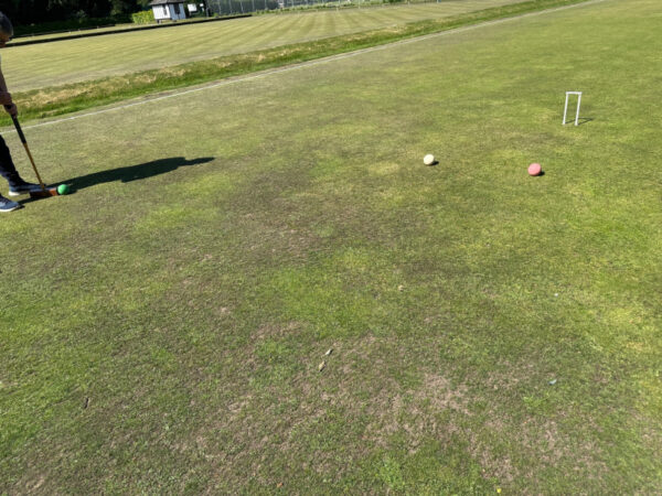 PeterboroughCroquetClub (9)