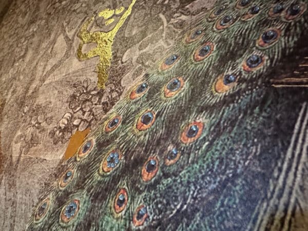 TheLotus PlacesToEatInPeterborough  (7)