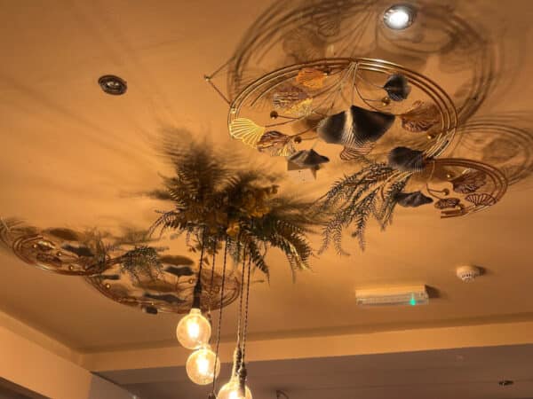 TheLotus PlacesToEatInPeterborough  (9)