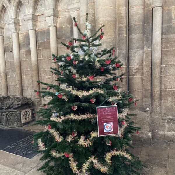 WeLovePeterboroghChristmasTree2025  (10)