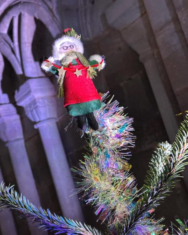 WeLovePeterboroghChristmasTree2025  (11)