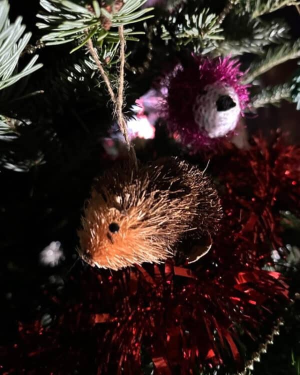 WeLovePeterboroghChristmasTree2025  (14)