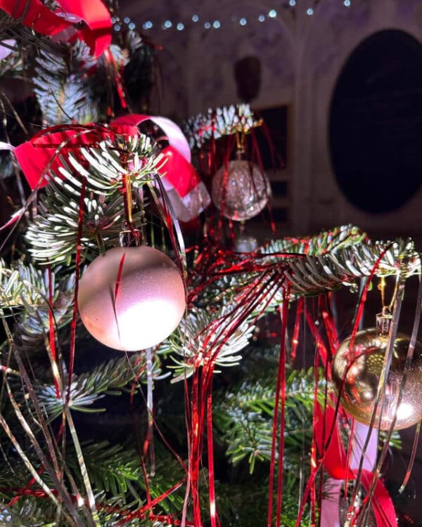 WeLovePeterboroghChristmasTree2025  (15)