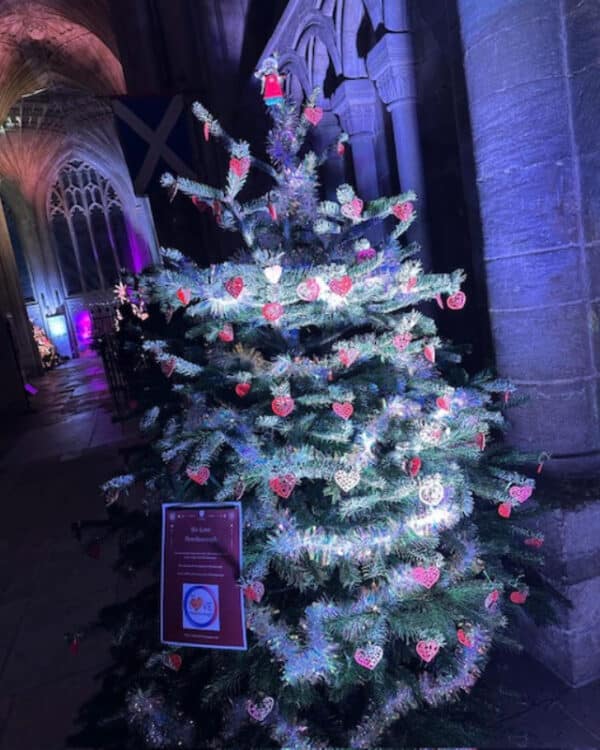 WeLovePeterboroghChristmasTree2025  (4)