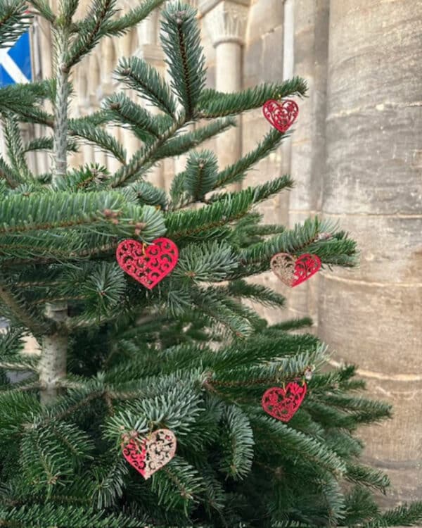 WeLovePeterboroghChristmasTree2025  (7)