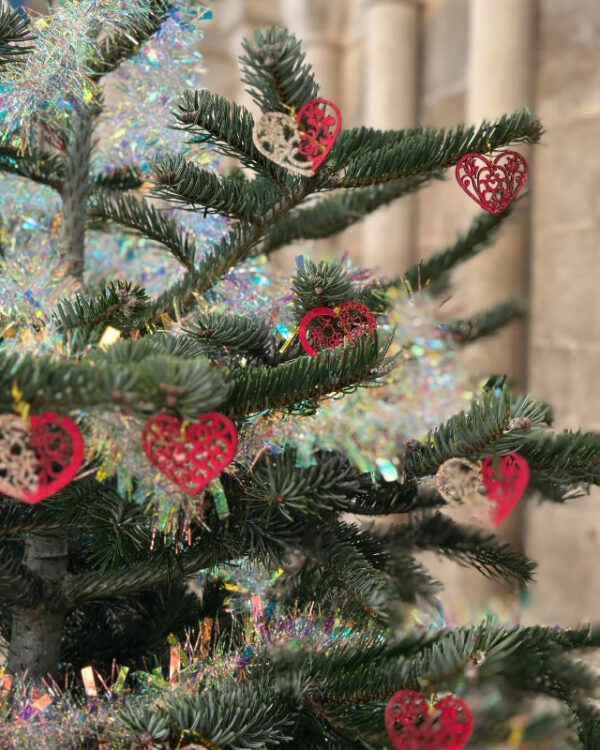 WeLovePeterboroghChristmasTree2025  (8)