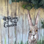 TowerStreetGardenProject BeautifulPeterboroughCommunity 2 150x150