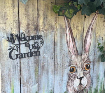 TowerStreetGardenProject BeautifulPeterboroughCommunity 2 360x320